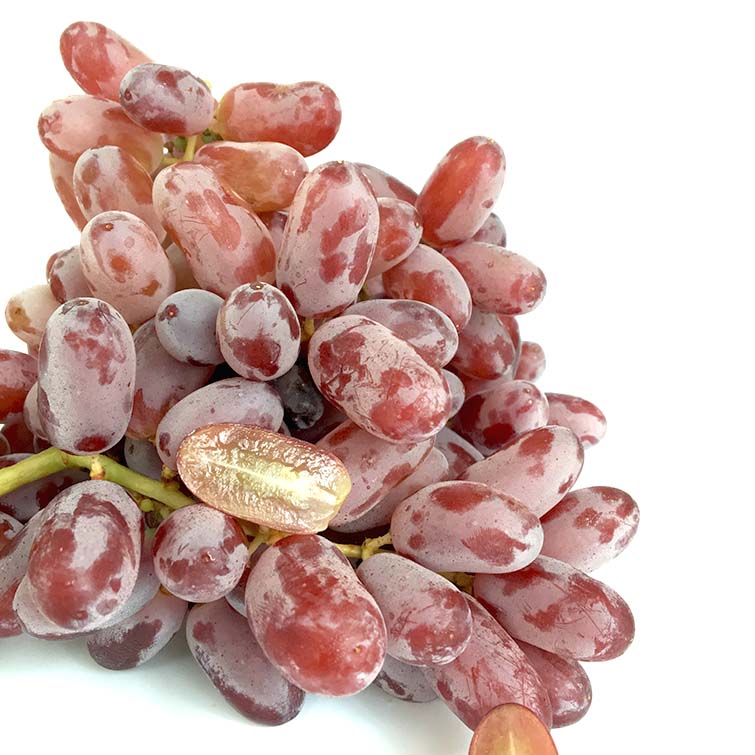 山东 青岛 ￥( 0折) 淘宝 澳洲金手指黑提新鲜黑加仑黑手指无籽提子