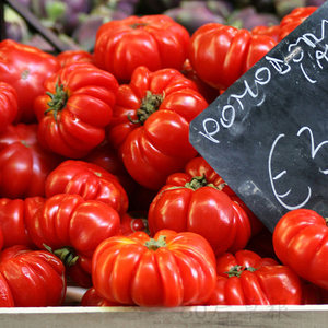 古老的番茄品种 进口中国红番茄种子 大粉西红柿 有番茄味
