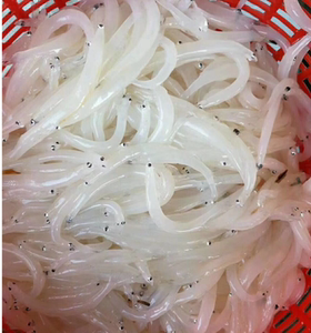 小银鱼新鲜图片
