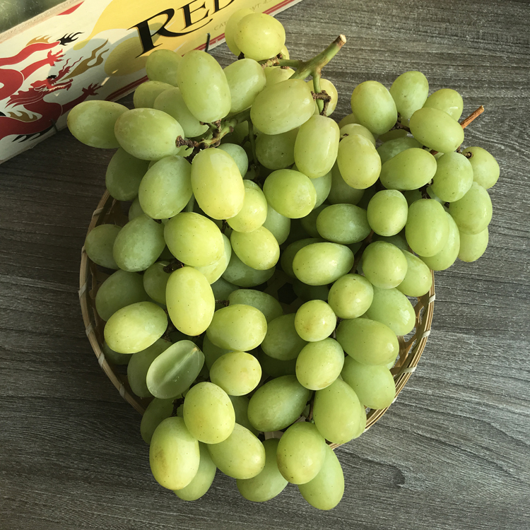 智利进口无籽青提2斤大青提子脆甜多汁青葡萄新鲜水果发顺丰速运