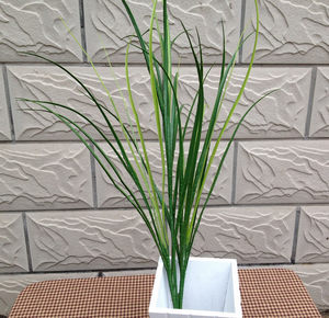 【兰花草塑料花价格】最新兰花草塑料花价格\/