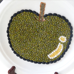 class=h>手工 /span> span class=h>diy /span>种子画青苹果盘子种子