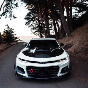 【雪佛兰大黄蜂车标】_雪佛兰大黄蜂车标品牌/图片/价格 - q友网