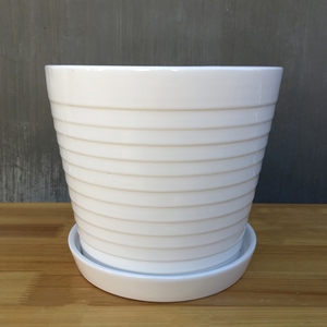 白色花盆螺纹图片