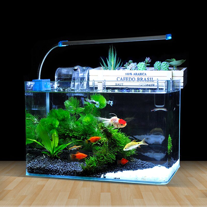 真水草鱼缸水族箱小型桌面生态客厅家用热弯玻璃乌龟缸迷你金鱼缸