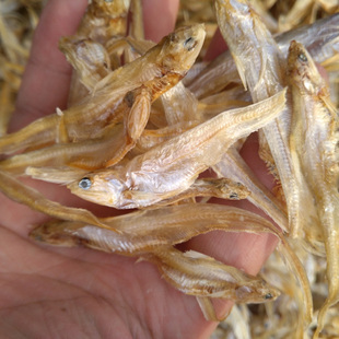 500g毛刀鱼凤尾鱼干货船上人大网船晒制无咸味淡水鱼产地直销