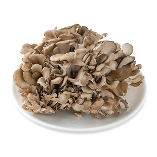 精选新鲜舞茸150g 菌菇 新鲜蔬菜 火锅食材