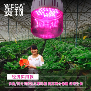 【贵翔植物灯】_贵翔植物灯品牌\/图片\/价格