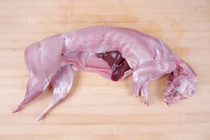 兔子肉包邮新鲜专场