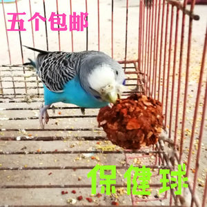 【玄凤虎皮鹦鹉图片】玄凤虎皮鹦鹉图片大全