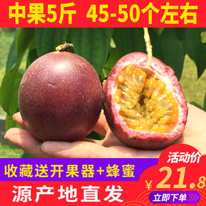 娃哈哈啤儿茶爽饮料500mlx7瓶散装 碳酸麦芽酒