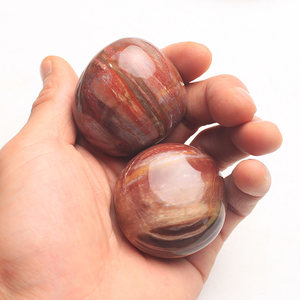 天然木化石图片