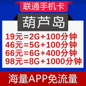 海南省联通不限无限流量手机上网大王卡米粉卡