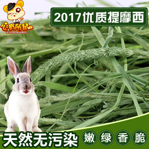 3袋包郵 優質提摩西草兔草提草500g龍貓荷蘭豬飼料兔