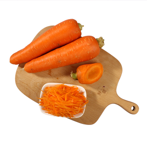 红胡萝卜种子图片