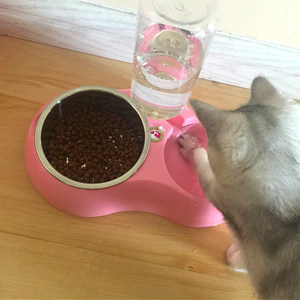 猫碗双碗宠物自动喂食器饮水器狗狗猫咪喂食器