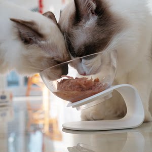 仲夏夜 pidan皮蛋 吃饭喝水的碗  span class=h>猫碗 /span>猫食盆 