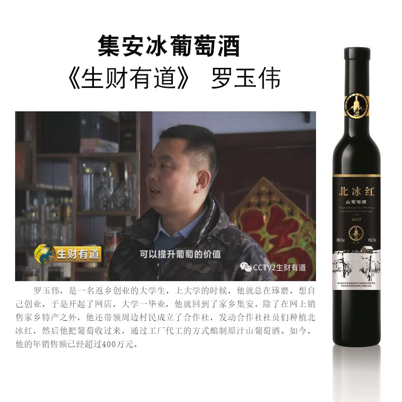 罗玉伟 集参堂央视生财有道冰葡萄酒吉林集安北冰红冰甜型酒 包邮