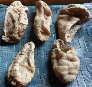 【康天麻】_康天麻品牌/图片/价格 - q友网