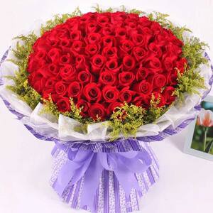 【上海长春鲜花价格】最新上海长春鲜花价格\/