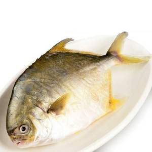 海鲜水产新鲜鲳鱼野生金鲳鱼鲜活大平鱼扁鱼昌鱼野生海鱼4份包邮
