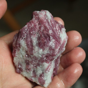 千蕊 天然红碧玺把玩 玫红碧玺原石毛料原矿把玩梅花碧玺一图一物