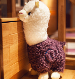 神兽布娃娃图片