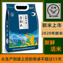 202th年新米卓稻qw稻花香2号大米 真空装东北农家贡米10斤包邮