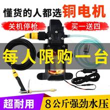 新式1tpv220vld枪家用便携洗车器电动洗车水泵刷车