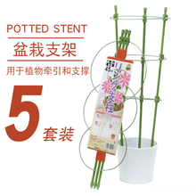 爬藤架tt花支架月季xj物蟹爪兰室内花卉支撑杆铁线莲攀爬绿萝