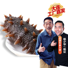 参(小)妹tt大连500xw鲜海参鲜活袋装即食辽刺参