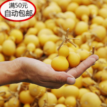 天然文uc把玩铁包金ce挂件带龙头4到6厘米包邮