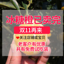 湖南黔uh冰糖橙麻阳or鲜水果孕妇手剥非赣南10斤带箱包邮