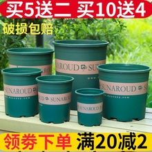 塑料花vp高矮胖加仑py萝月季多肉大口径花盆清仓加厚加仑盆