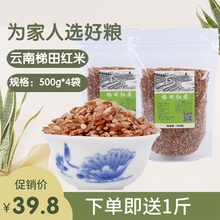 云南特wa元阳哈尼大ga粗粮糙米红河红软米红米饭的米