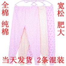 2条老wd的女纯棉宽a8全棉高腰加肥加大码老的棉毛裤妈妈