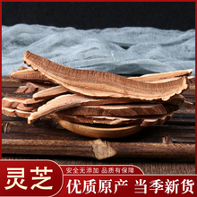正品5wkg 东北长wc产 紫灵芝 切片赤灵芝