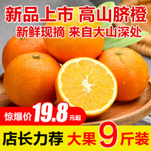 高山新wm水果应季当ra现摘甜橙子橙现摘包邮