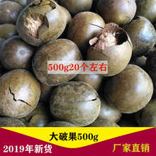 干果散wo破壳大果5le1斤装广西桂林永福特产泡茶泡水花茶