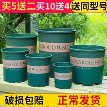 塑料花wo高矮胖加仑fp萝月季多肉大口径花盆清仓加厚加仑盆