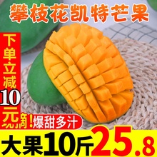 攀枝花wo特芒现摘带ia斤新鲜当季香甜多汁应当季带水果包邮