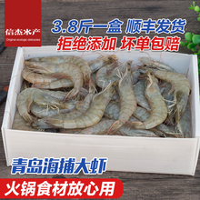 青岛野wo大虾新鲜包iu海鲜冷冻水产海捕虾青虾对虾白虾