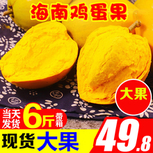 鸡蛋果ww鲜海南蛋黄kt包邮广西热带水果当季一整箱10