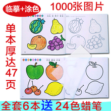 蒙纸学ww画本幼宝宝kt画书涂鸦绘画简笔画3-6-9岁宝宝填色书