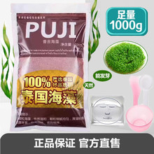 AAAxd级泰国颗粒es天然(小)颗粒美容院专用修复敏感肌肤
