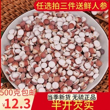 干货5xj0g包邮特wp半开农家自产肇庆米鸡头米茨实欠实