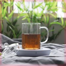 恒温器xn携加热杯垫wj解冻100度电加热可烧水发热茶艺可加热