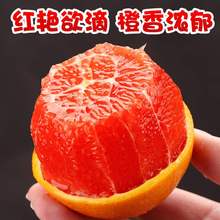 顺丰新xs水果红心橙ys红肉脐橙三峡红橙5斤
