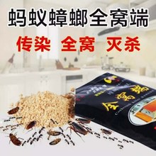 蟑螂药ya窝端 2份an吉平蚂蚁潮虫一窝端灭除杀蟑胶饵屋贴粉家用