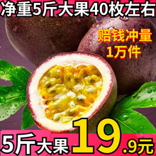 特级大yn5斤包邮水wl鸡蛋果当季整箱3斤现摘云南非广西